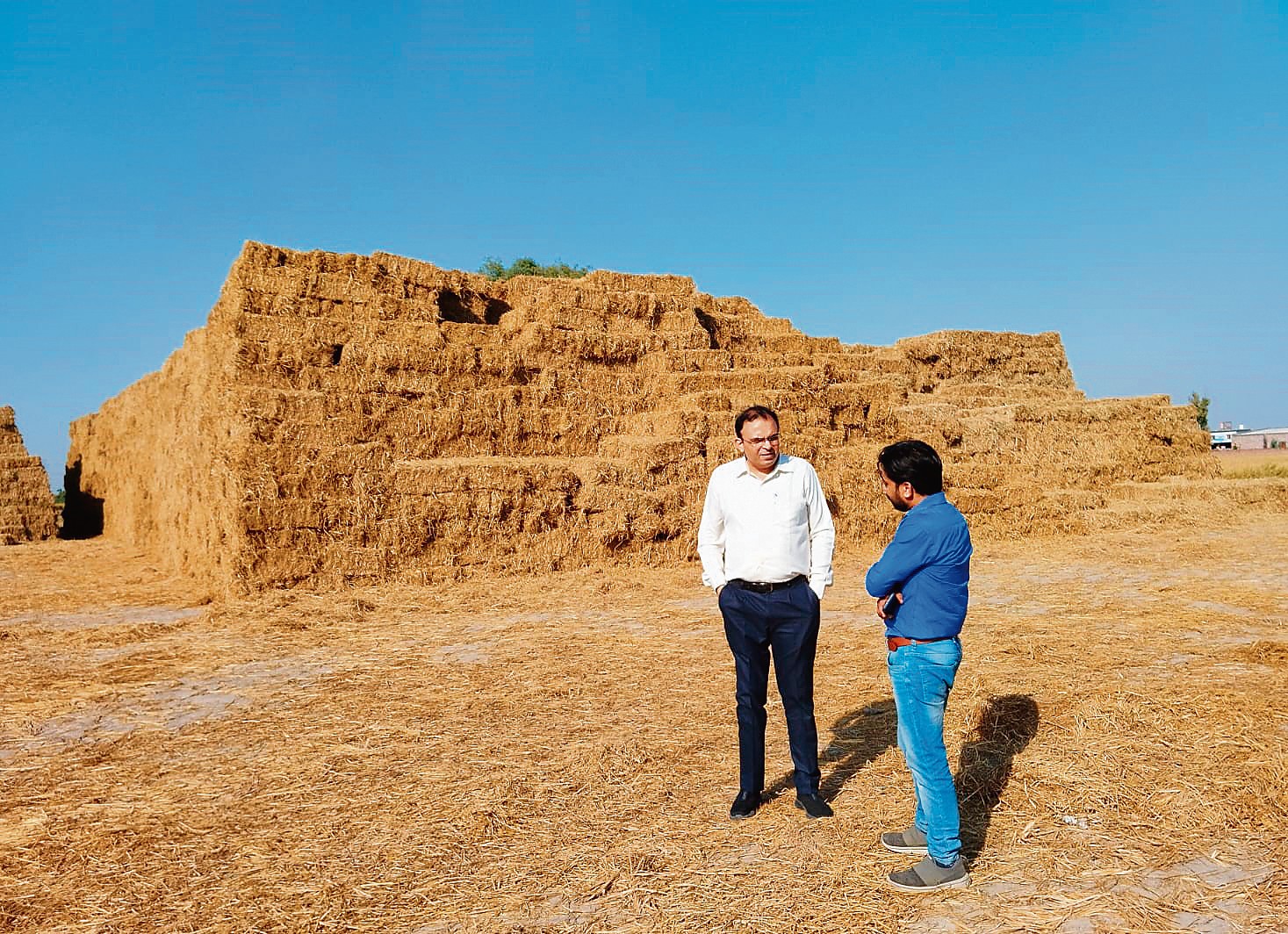 To manage paddy stubble, Agri Dept forms supply chain The Tribune