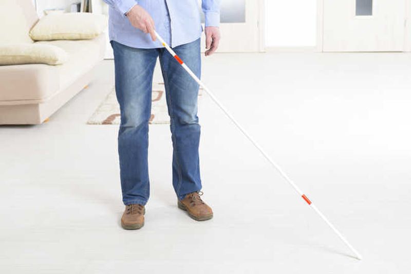 International White Cane Day observed The Tribune