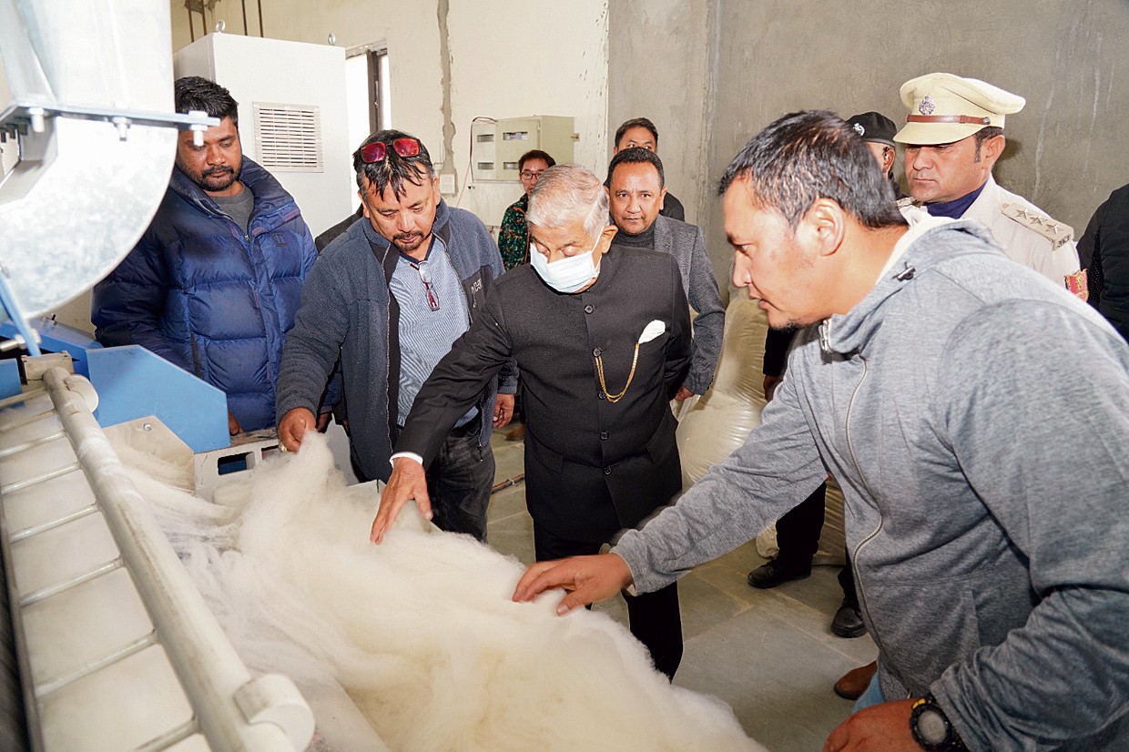 LG visits Pashmina dehairing plant in Leh The Tribune