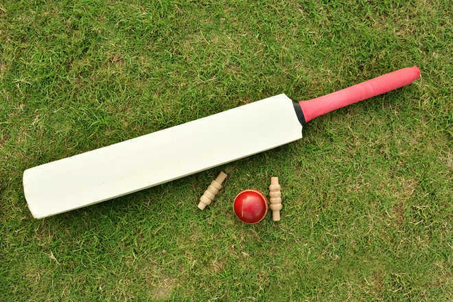 Chandigarh Cricket Association takes action against junior selector – The Tribune