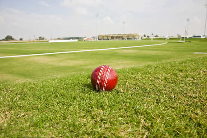 Gurukul lads win cricket meet – The Tribune