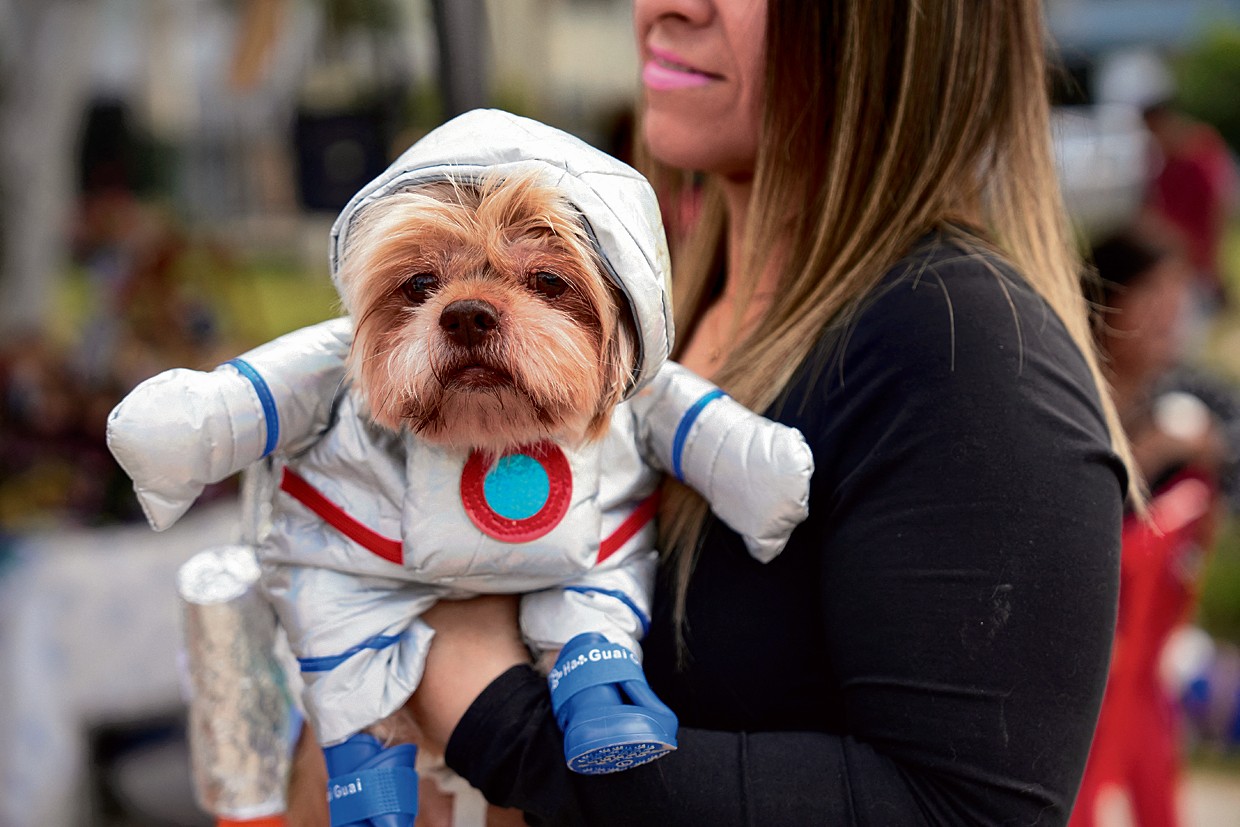 Globe trot Indiabuilt hospital opens in Nepal The Tribune