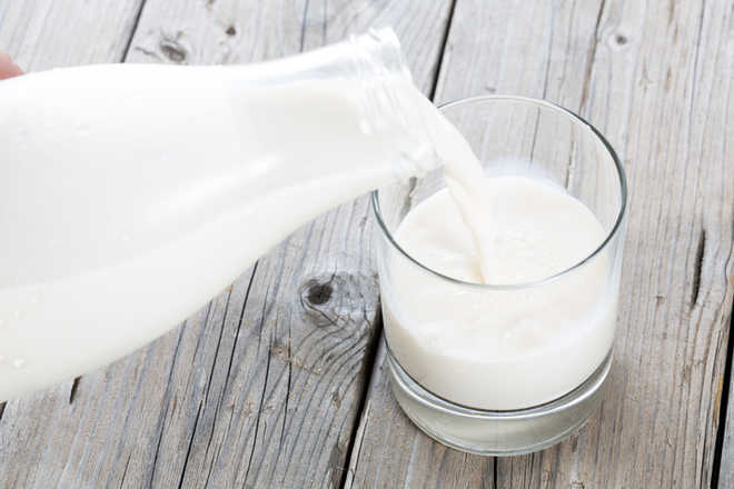 High-Fat Dairy Linked to Increased Risk of Fatty Liver Disease, Study Finds