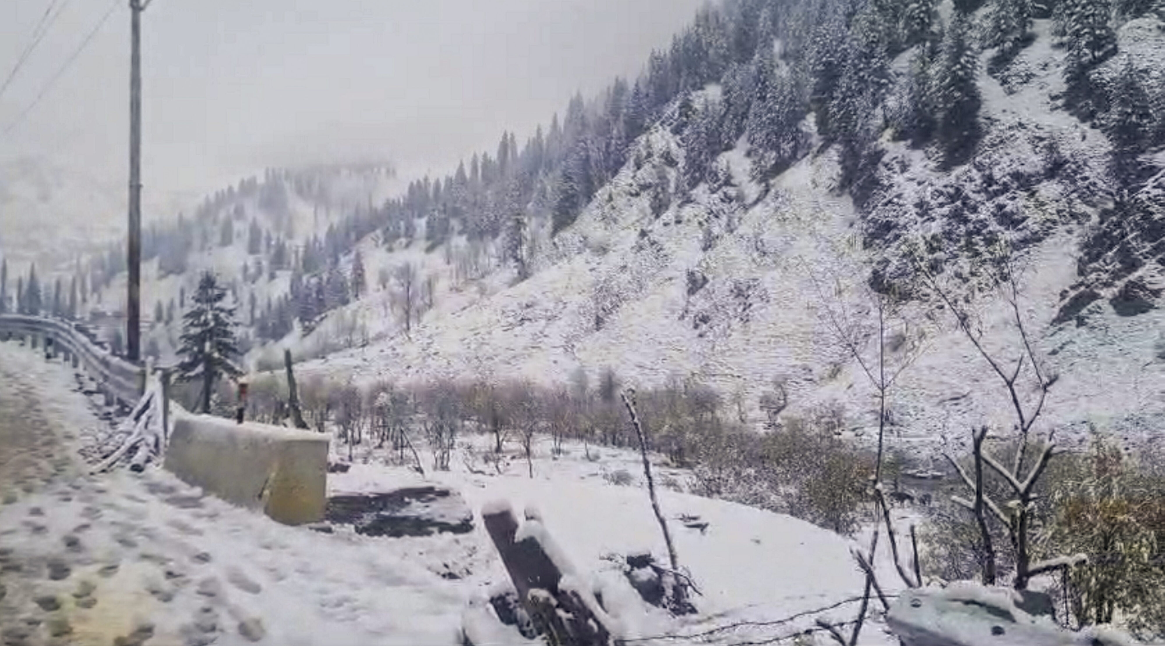 Fresh snowfall in higher reaches of Kashmir The Tribune