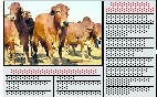 68f271988c8a4 Cattle