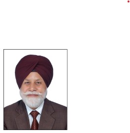author-image