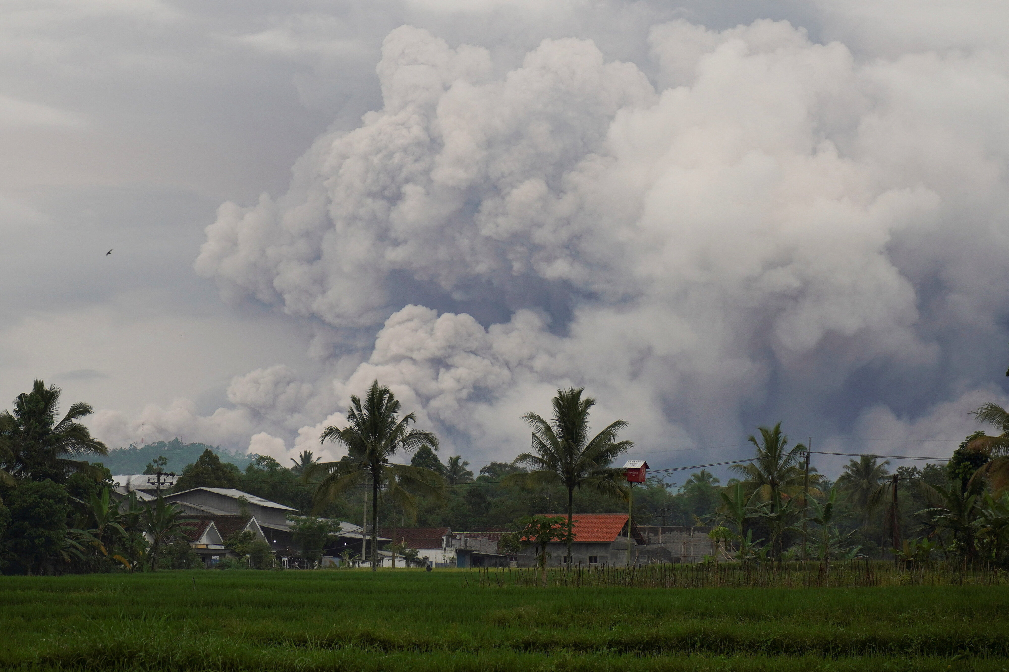 Mount Semeru volcano spews volcanic material during an eruption. 