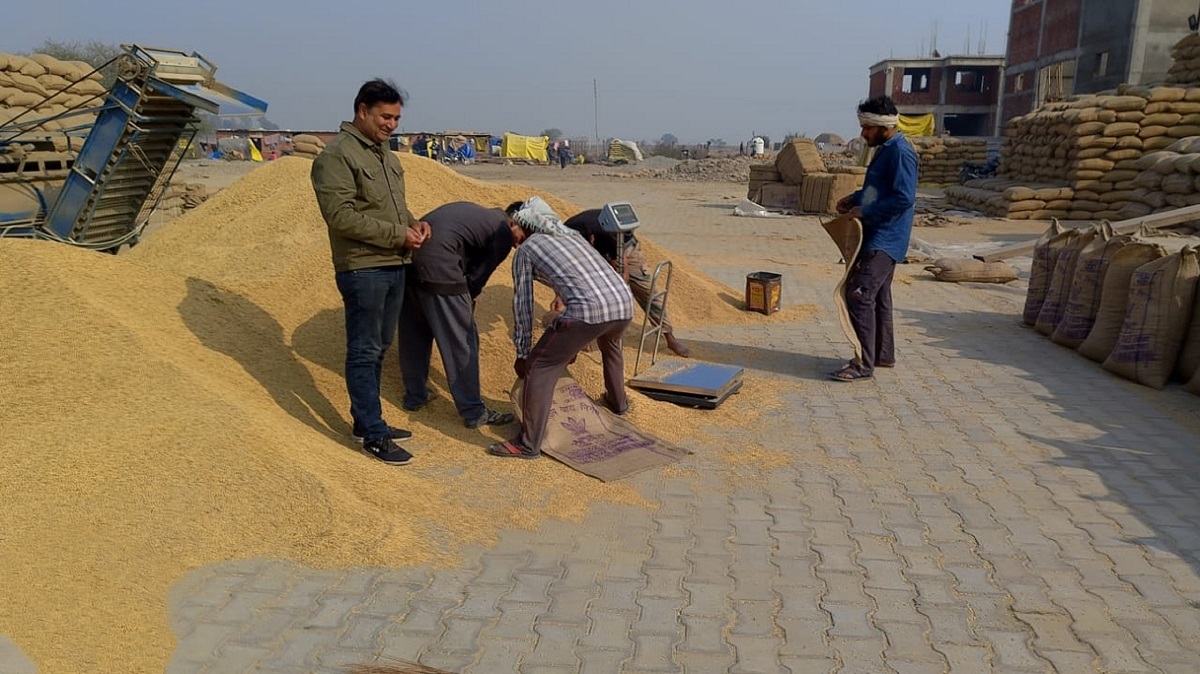 Start paddy procurement from September 15: BKS to Haryana government