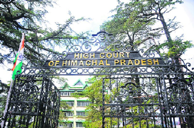 Himachal High Court halts construction activities on Mashobra link road