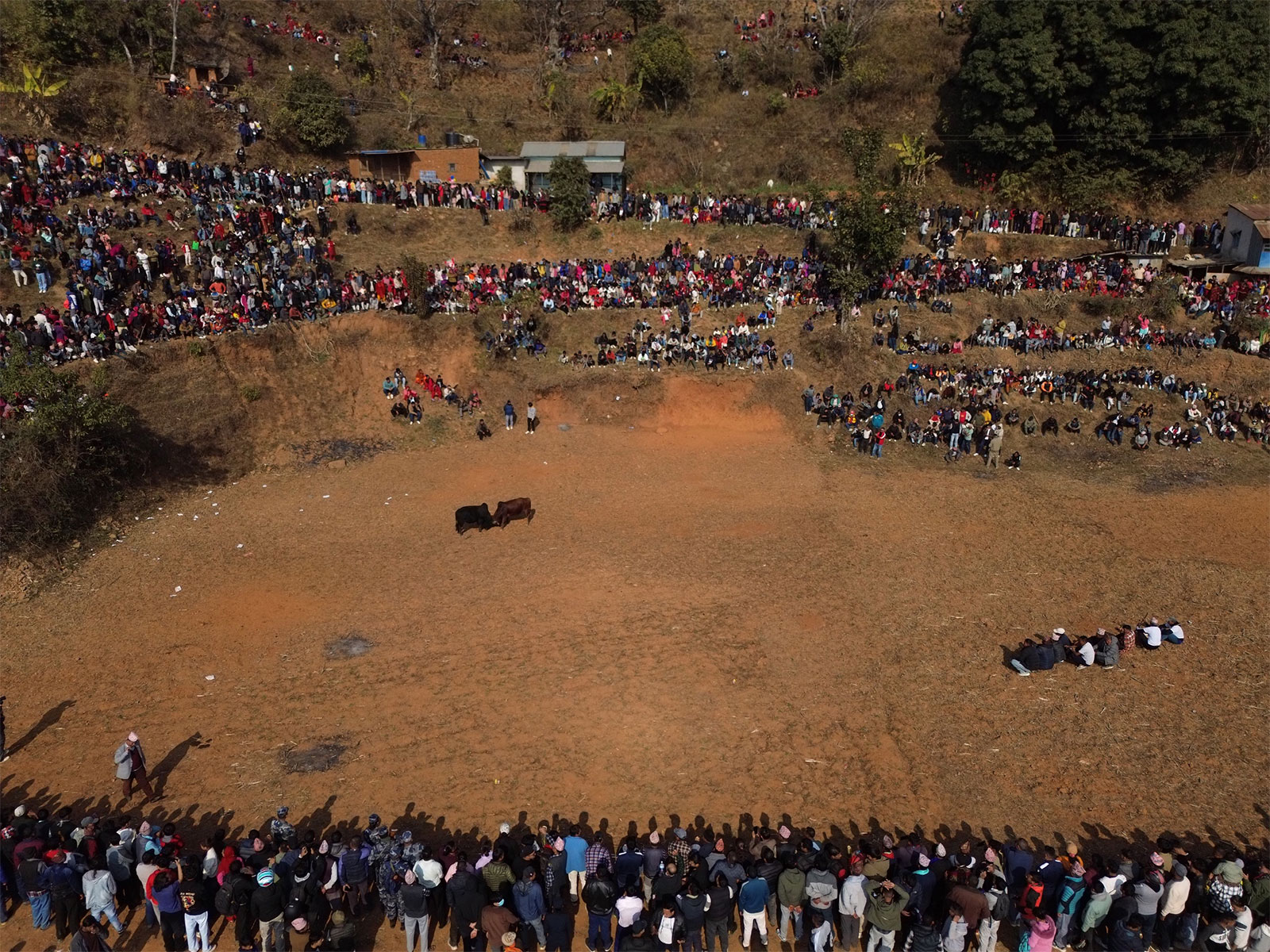 Nepali villagers struggle to keep age old bull-fight tradition alive