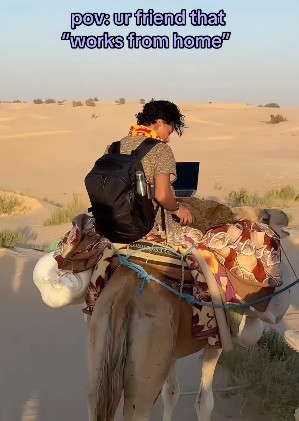 Why That Viral Sahara Desert WFH Video is a Wakeup Call for Corporate Burnout