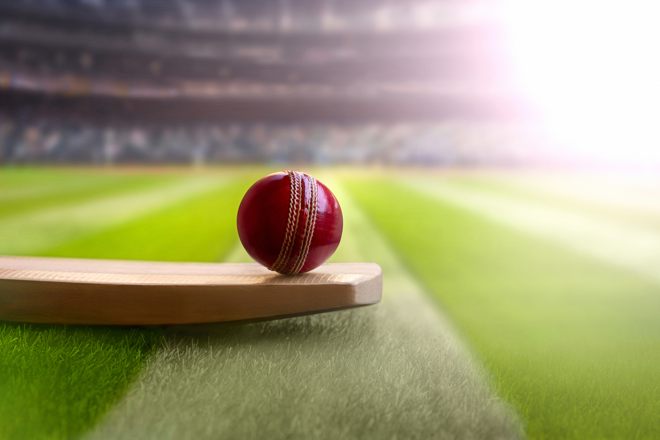 Australia beats Bangladesh by 7 wickets in 3rd T20 to complete series sweep