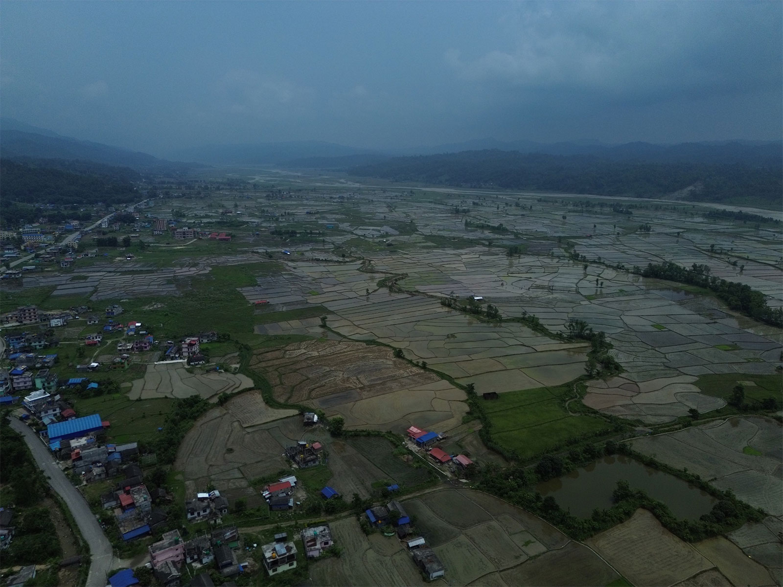 Mud, celebration, and dread: Nepali farmers mark National Paddy Day while bracing for El Nino-driven drought