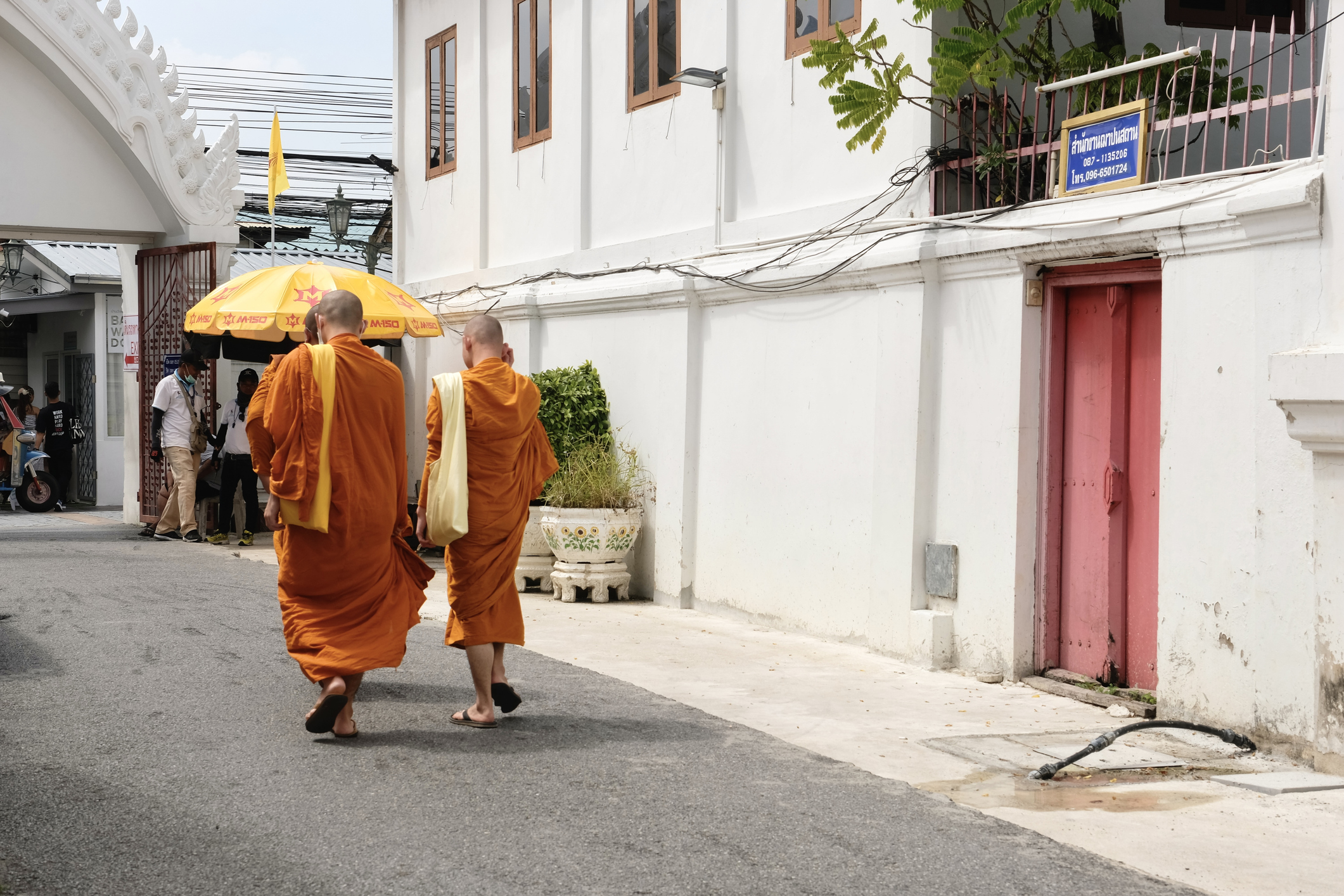 11-year-old boy driving pickup truck crashes into group of Thai monks, kills 8