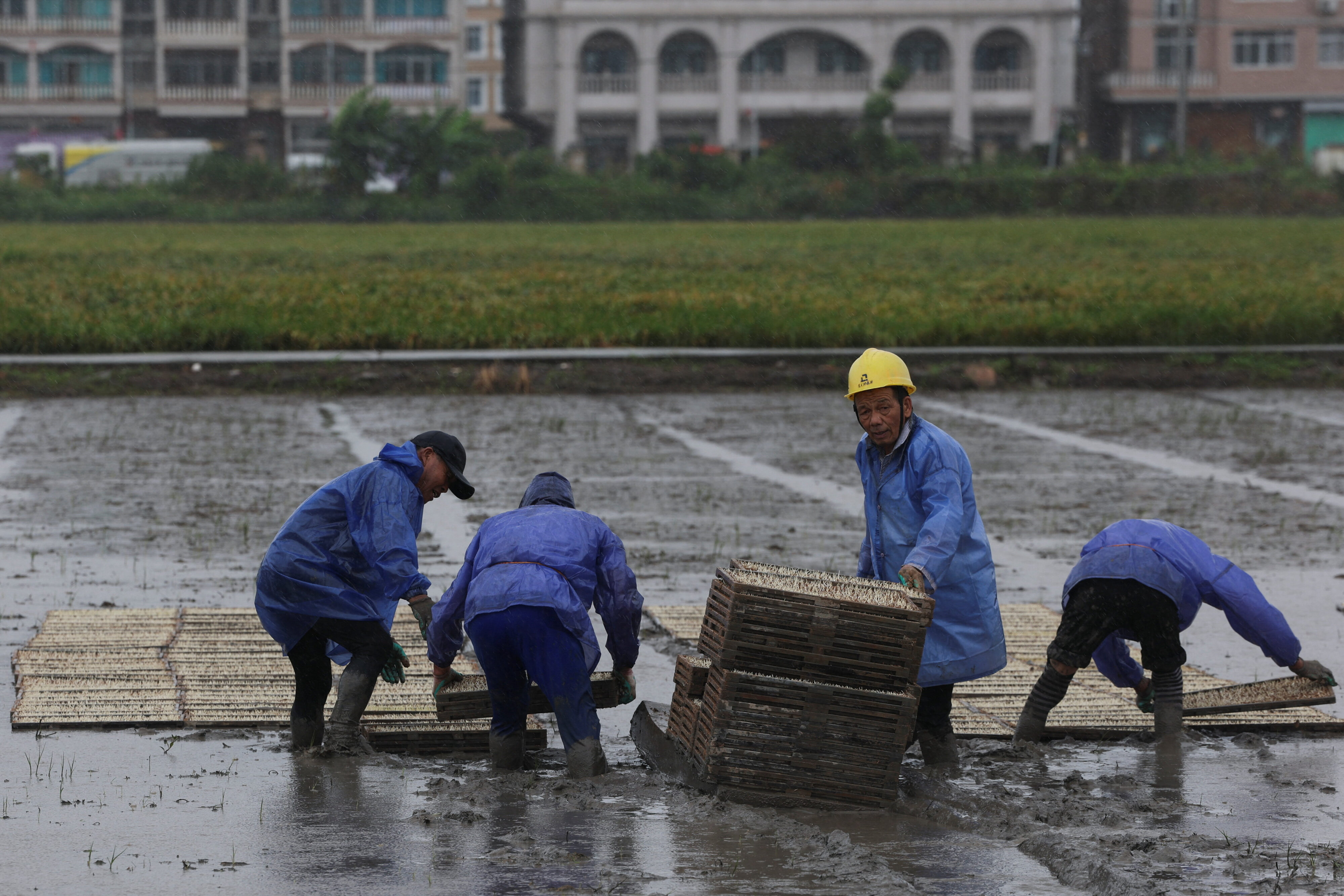 Why Typhoon Bavi Is Testing The Absolute Limits Of Coastal Readiness