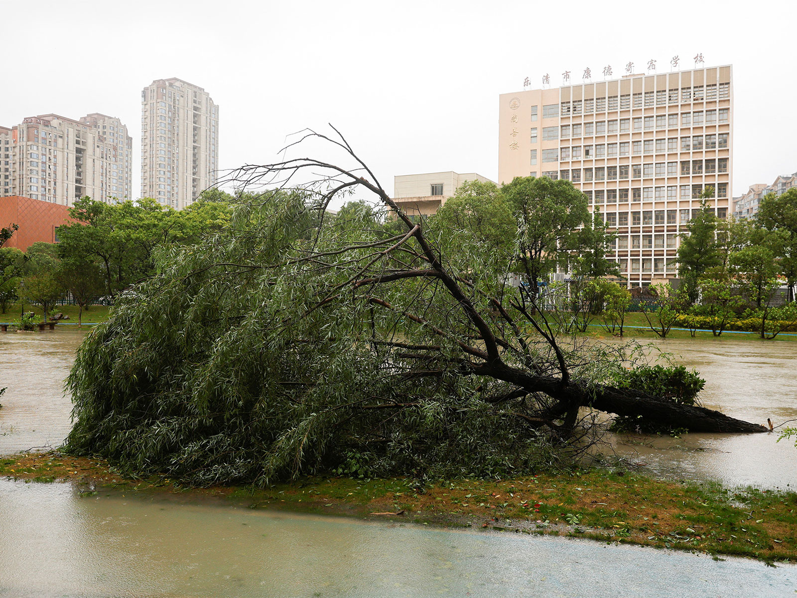 1.7 mn evacuated as typhoon Bavi wreaks havoc in China