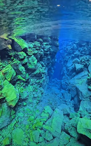 The Brutal Truth About Swimming Between Tectonic Plates