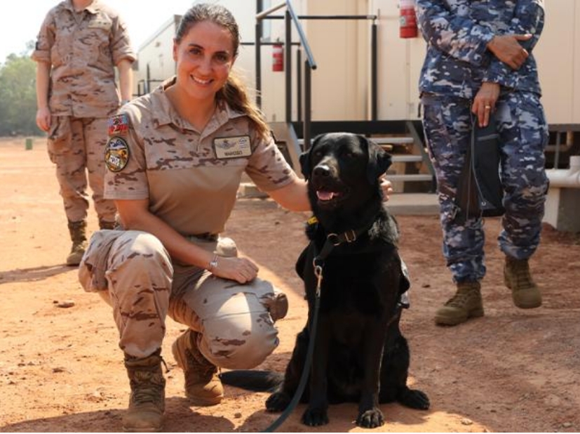 Beyond the warrior code, a K-9 helps forge bonds among 21 nations at Australia combat drill
