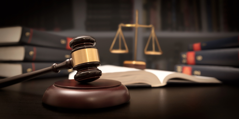 Delhi court grants 4-week interim bail to Dr Vatsala Aggarwal in DGHS scam case on health grounds