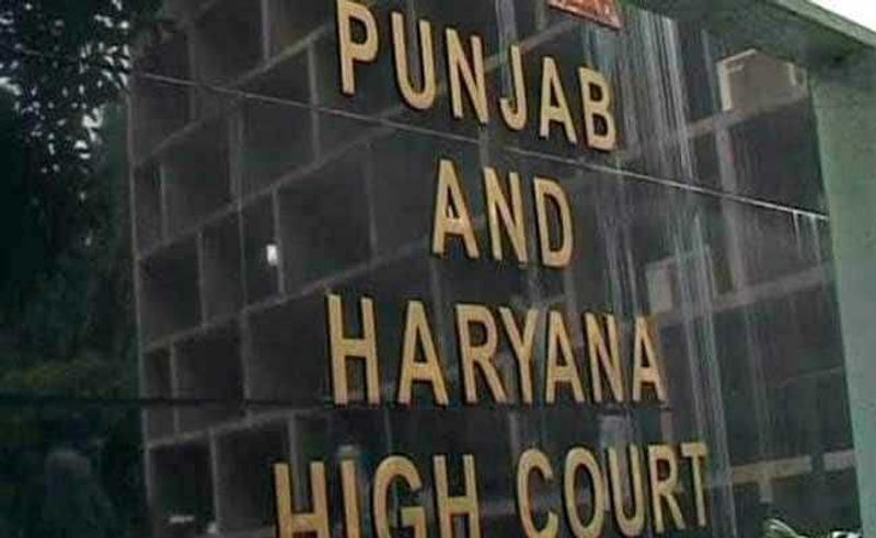 HC orders release of imported roasted areca nuts consignments of Ludhiana-based firm