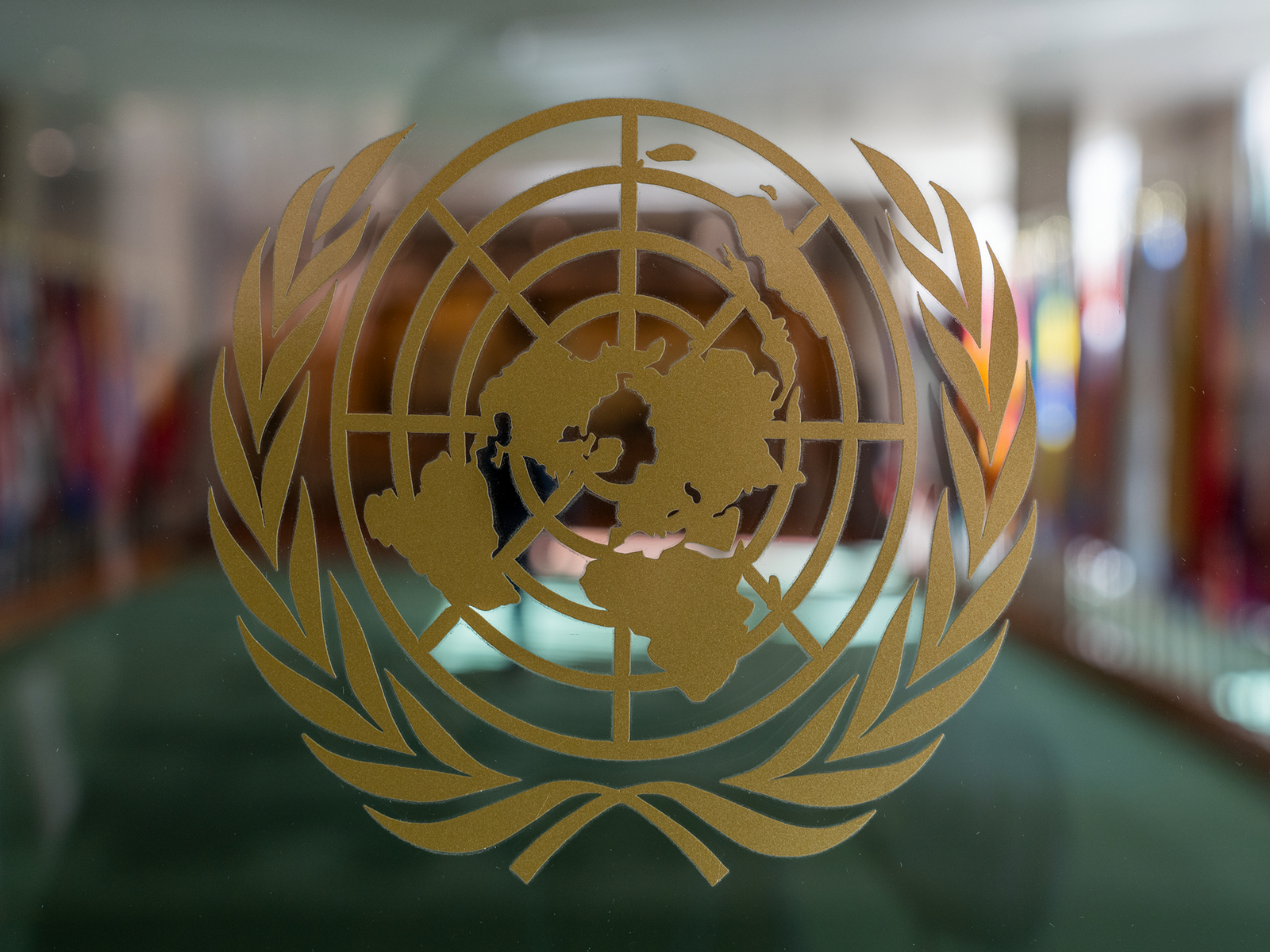 Tibetan representatives raise human rights concerns ahead of UNHRC session